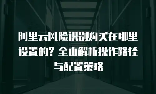 阿里云风险识别购买在哪里设置的？全面解析操作路径与配置策略