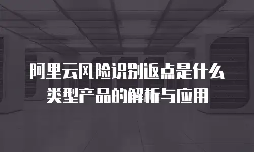 阿里云风险识别返点是什么类型产品的解析与应用