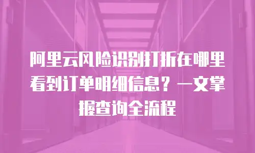 阿里云风险识别打折在哪里看到订单明细信息？一文掌握查询全流程