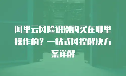 阿里云风险识别购买在哪里操作的？一站式风控解决方案详解