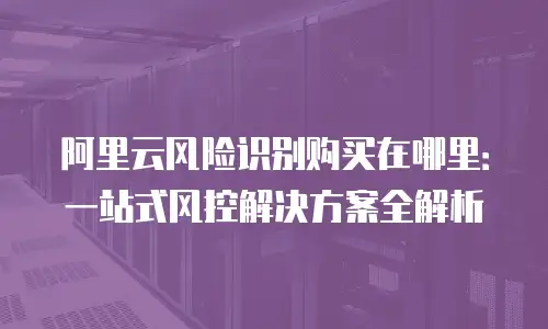 阿里云风险识别购买在哪里：一站式风控解决方案全解析