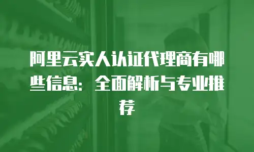 阿里云实人认证代理商有哪些信息：全面解析与专业推荐