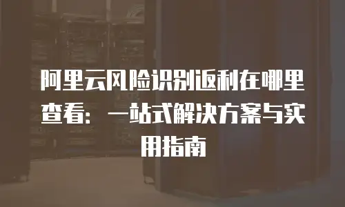 阿里云风险识别返利在哪里查看：一站式解决方案与实用指南
