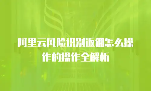 阿里云风险识别返佣怎么操作的操作全解析