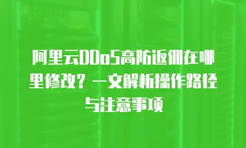 阿里云DDoS高防返佣在哪里修改？一文解析操作路径与注意事项
