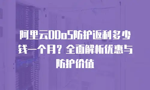阿里云DDoS防护返利多少钱一个月？全面解析优惠与防护价值