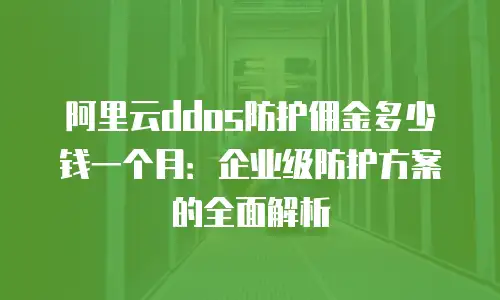 阿里云ddos防护佣金多少钱一个月：企业级防护方案的全面解析