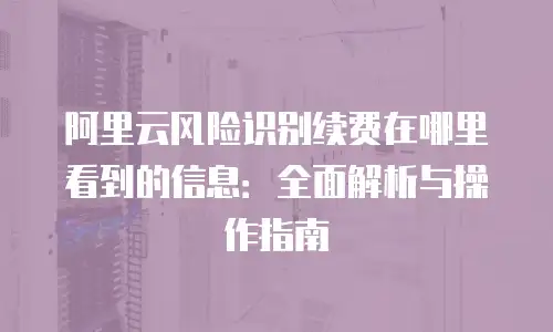 阿里云风险识别续费在哪里看到的信息：全面解析与操作指南