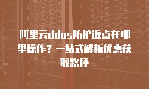 阿里云ddos防护返点在哪里操作？一站式解析优惠获取路径