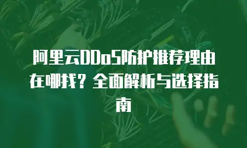 阿里云DDoS防护推荐理由在哪找？全面解析与选择指南