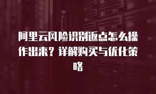 阿里云风险识别返点怎么操作出来？详解购买与优化策略
