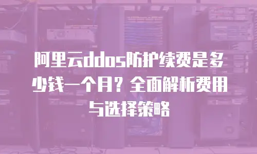 阿里云ddos防护续费是多少钱一个月？全面解析费用与选择策略