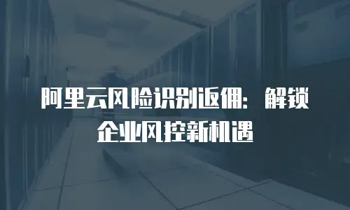 阿里云风险识别返佣：解锁企业风控新机遇