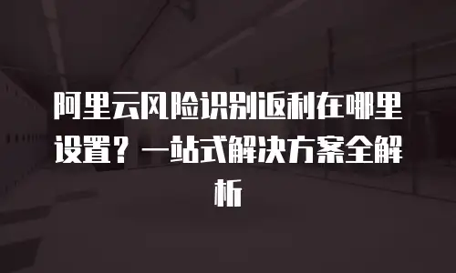 阿里云风险识别返利在哪里设置？一站式解决方案全解析