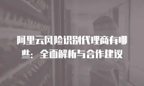 阿里云风险识别代理商有哪些：全面解析与合作建议