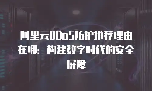 阿里云DDoS防护推荐理由在哪：构建数字时代的安全屏障