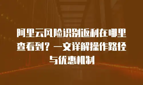 阿里云风险识别返利在哪里查看到？一文详解操作路径与优惠机制