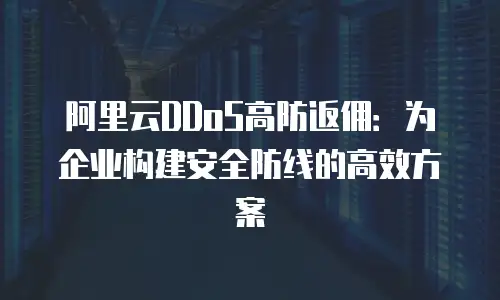 阿里云DDoS高防返佣：为企业构建安全防线的高效方案