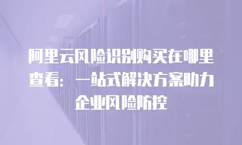 阿里云风险识别购买在哪里查看：一站式解决方案助力企业风险防控