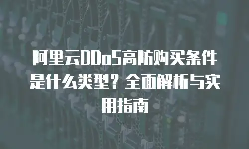 阿里云DDoS高防购买条件是什么类型？全面解析与实用指南