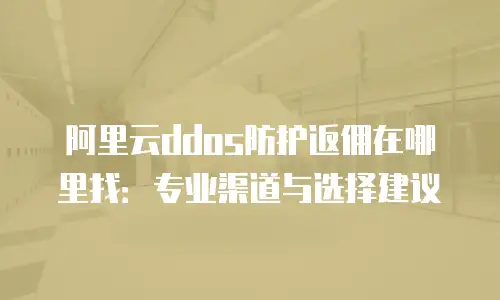 阿里云ddos防护返佣在哪里找：专业渠道与选择建议