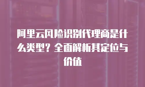 阿里云风险识别代理商是什么类型？全面解析其定位与价值
