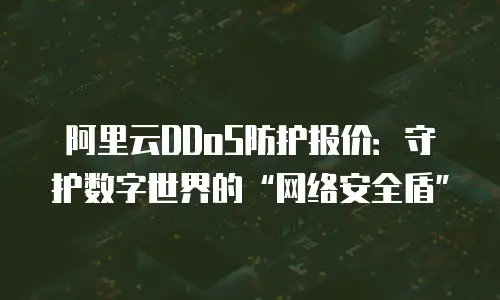 阿里云DDoS防护报价：守护数字世界的“网络安全盾”