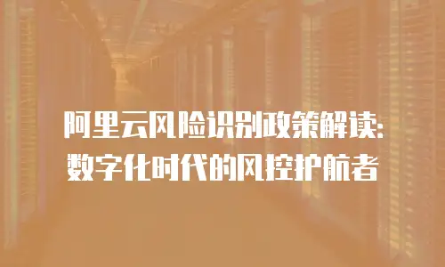 阿里云风险识别政策解读：数字化时代的风控护航者