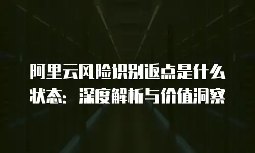 阿里云风险识别返点是什么状态：深度解析与价值洞察