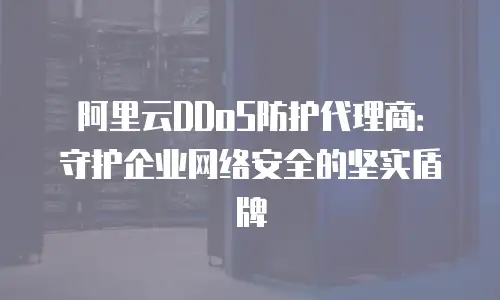 阿里云DDoS防护代理商：守护企业网络安全的坚实盾牌