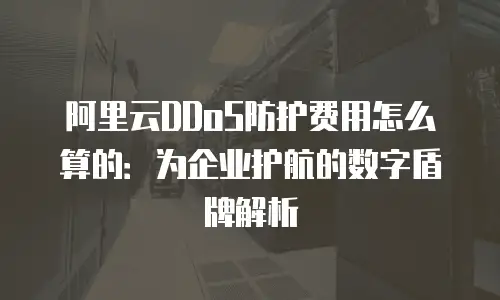 阿里云DDoS防护费用怎么算的：为企业护航的数字盾牌解析