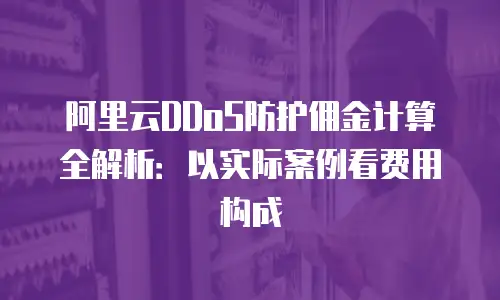 阿里云DDoS防护佣金计算全解析：以实际案例看费用构成