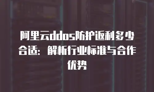阿里云ddos防护返利多少合适：解析行业标准与合作优势