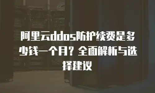 阿里云ddos防护续费是多少钱一个月？全面解析与选择建议