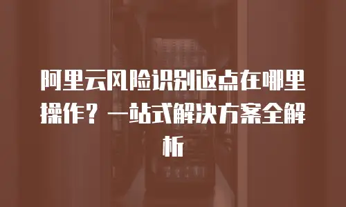 阿里云风险识别返点在哪里操作？一站式解决方案全解析