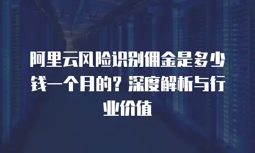 阿里云风险识别佣金是多少钱一个月的？深度解析与行业价值