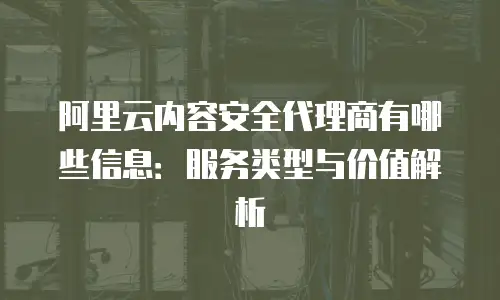 阿里云内容安全代理商有哪些信息：服务类型与价值解析