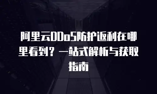 阿里云DDoS防护返利在哪里看到？一站式解析与获取指南