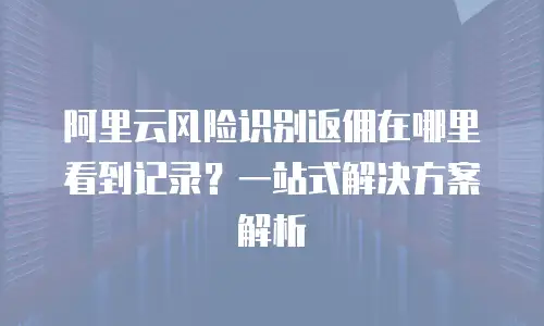 阿里云风险识别返佣在哪里看到记录？一站式解决方案解析