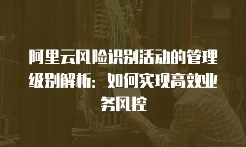 阿里云风险识别活动的管理级别解析：如何实现高效业务风控
