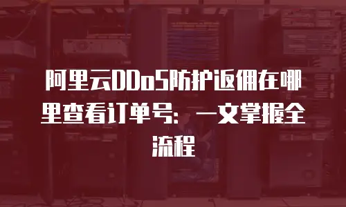 阿里云DDoS防护返佣在哪里查看订单号：一文掌握全流程
