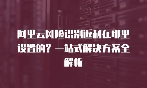 阿里云风险识别返利在哪里设置的？一站式解决方案全解析