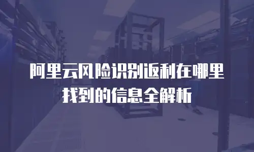 阿里云风险识别返利在哪里找到的信息全解析