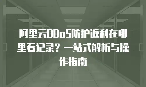 阿里云DDoS防护返利在哪里看记录？一站式解析与操作指南