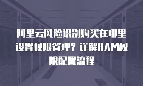 阿里云风险识别购买在哪里设置权限管理？详解RAM权限配置流程