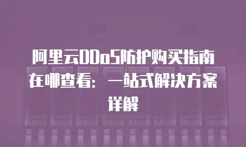 阿里云DDoS防护购买指南在哪查看：一站式解决方案详解