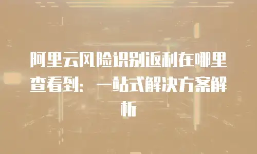 阿里云风险识别返利在哪里查看到：一站式解决方案解析