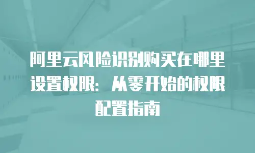 阿里云风险识别购买在哪里设置权限：从零开始的权限配置指南