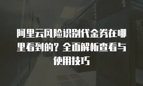 阿里云风险识别代金券在哪里看到的？全面解析查看与使用技巧
