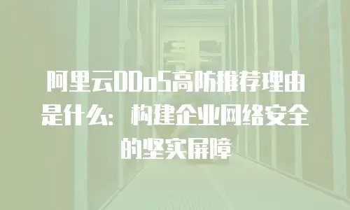 阿里云DDoS高防推荐理由是什么：构建企业网络安全的坚实屏障